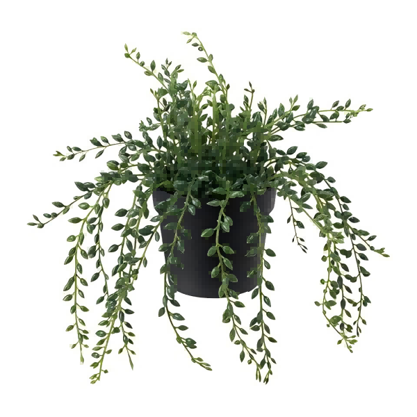 Artificial Plants-4