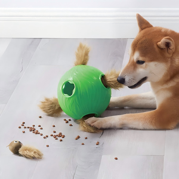pet toy-3