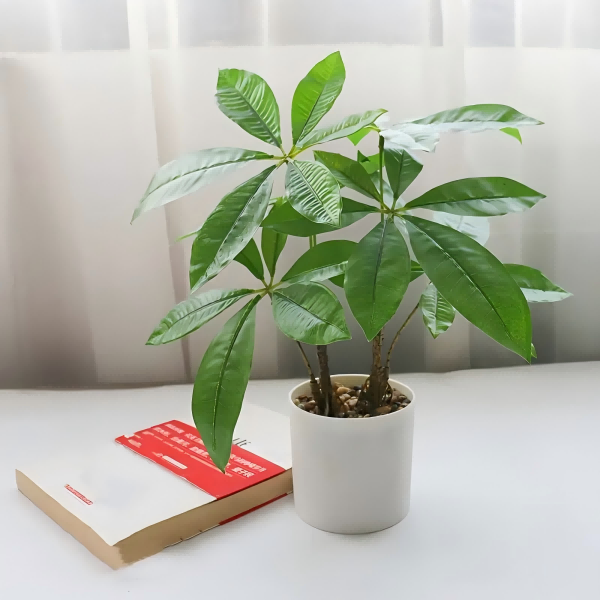 Artificial plants-2