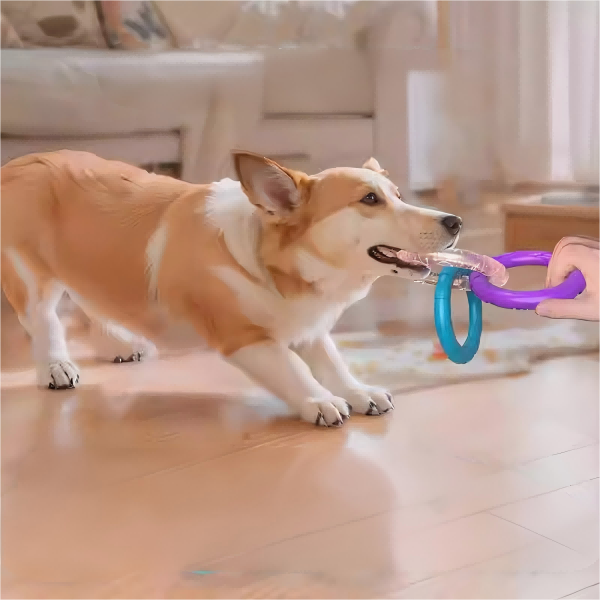 pet products-4