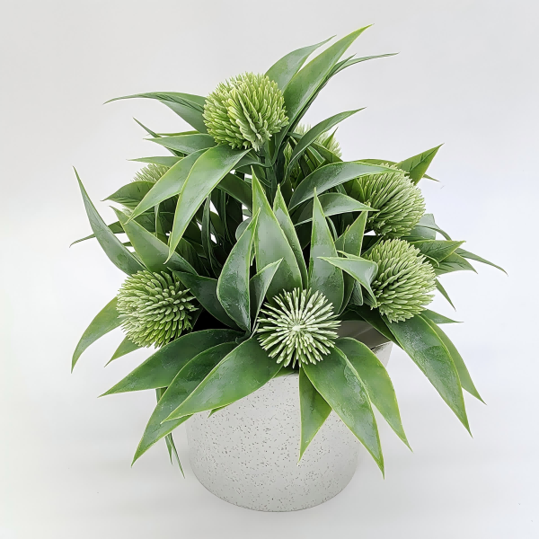 Best for Plants-4