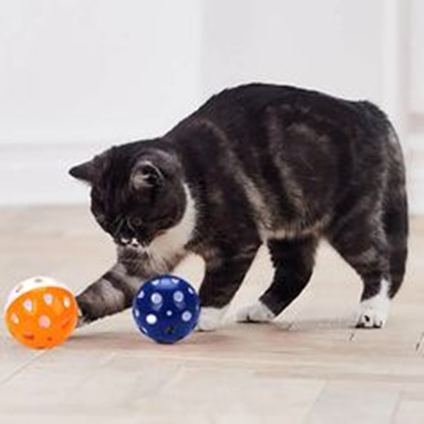 Do Cats Play with Balls?