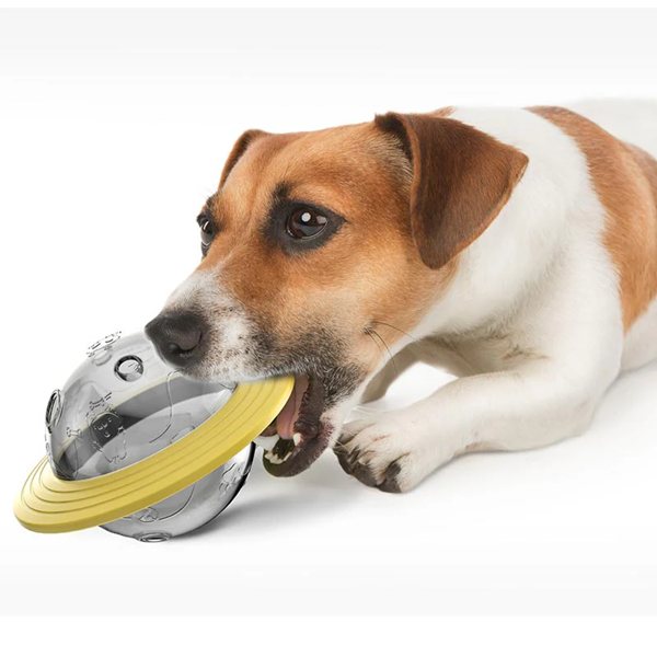Can You Give A Dog A Chew Everyday?