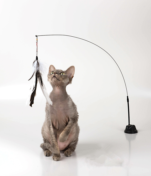 Are Electronic Toys Good for Cats?
