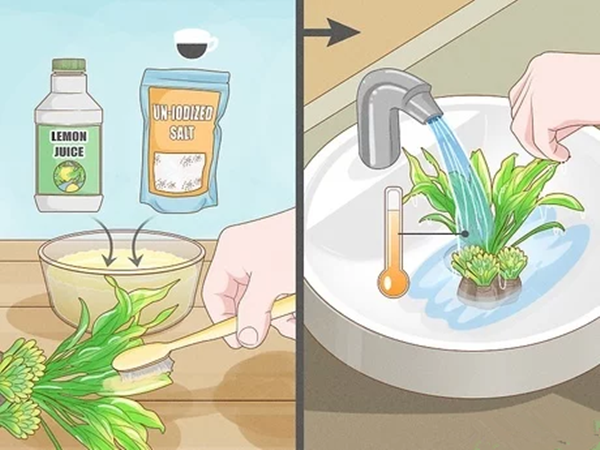 how to Clean Artificial Plants