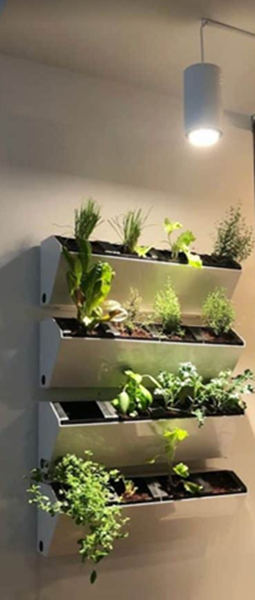 artificial light for plant growth-4