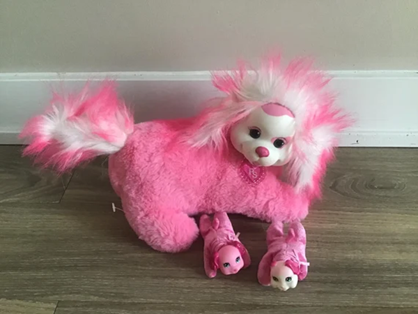 pet toy-3
