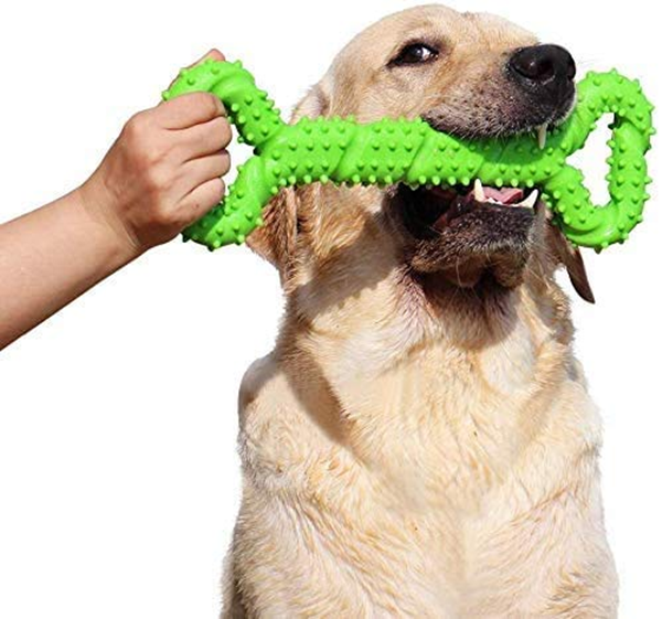 Can You Put Dog Toothpaste on A Chew Toy?