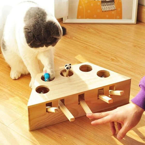 What Is The Meaning of Pet Toy?