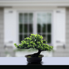 Artificial Plants Green Plants