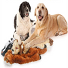 Plush Dog Chew Toy