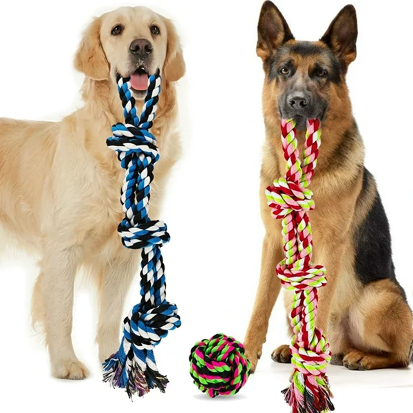 Can Roomba Eat My Pet Toys
