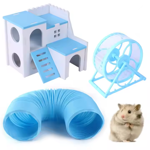pet rats-2