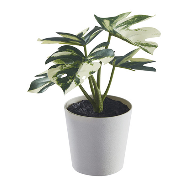 Artificial plants-2