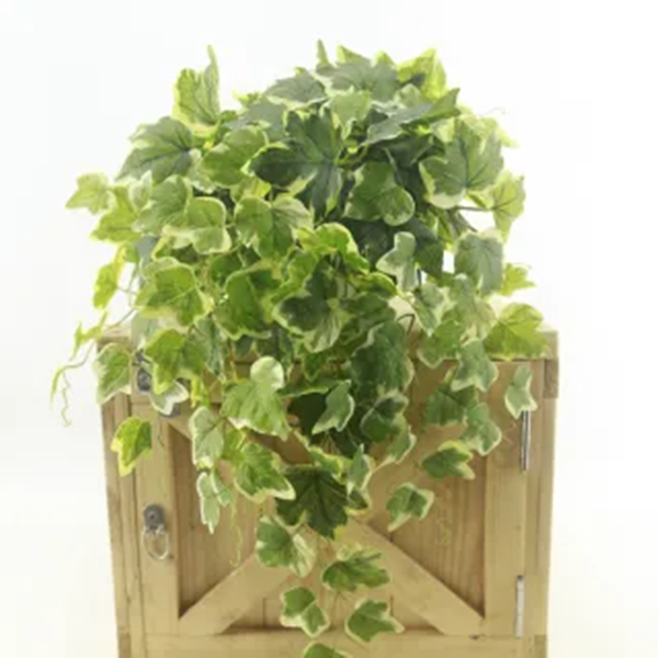 Artificial plants-4
