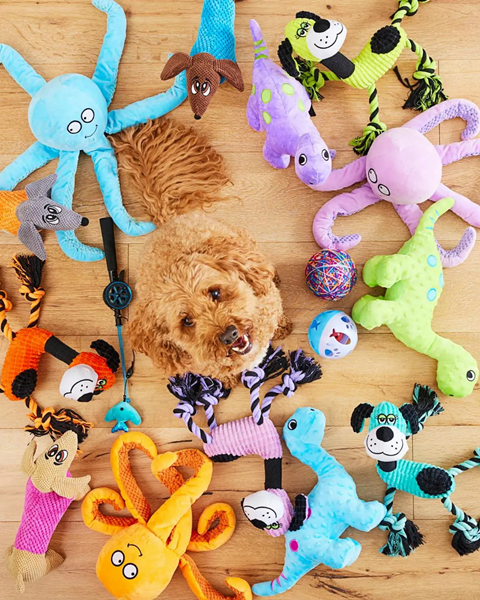 Does Whole Foods Sell Pet Toys