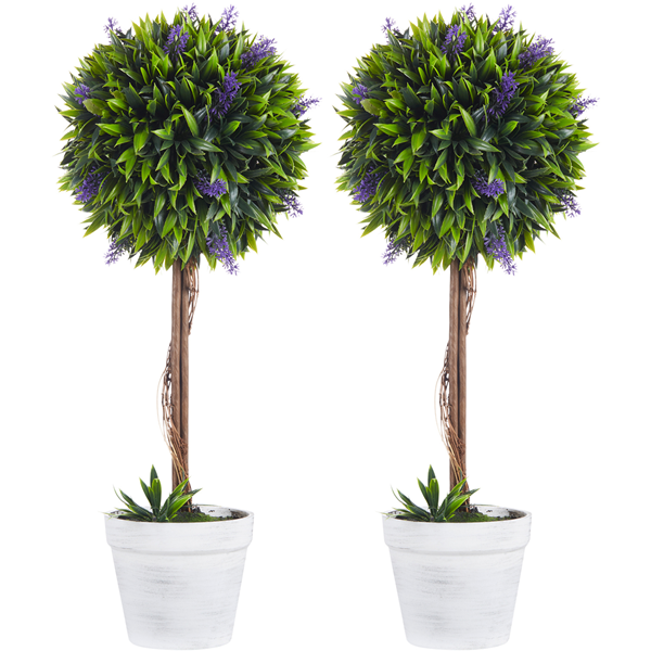 How Many Hours of Artificial Light Do Plants Need