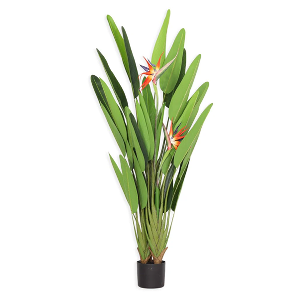 Artificial plants-4