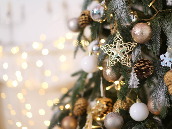 Acrylic Ornaments-4