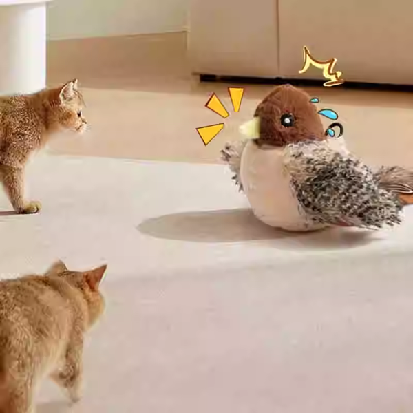 Do Pet Finches Need Toys
