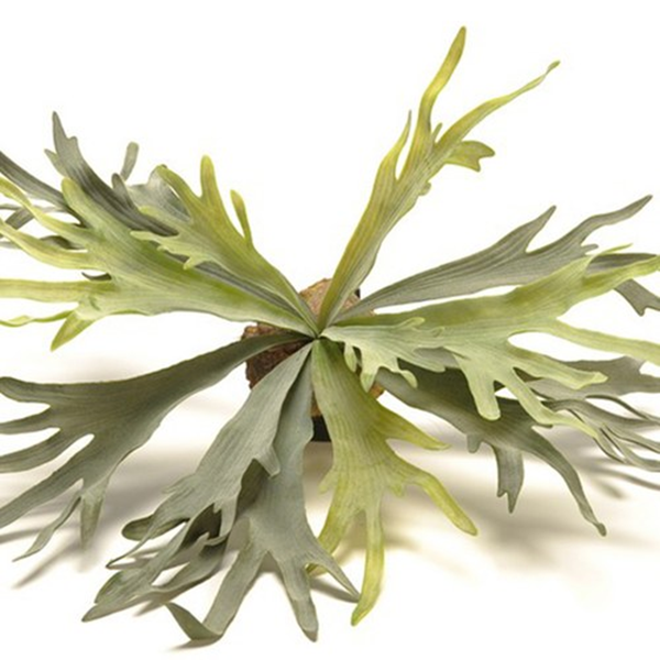 greenplants-1