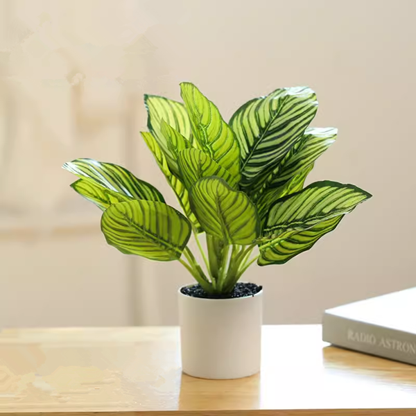 Are Real Plants Better Than Fake Plants?