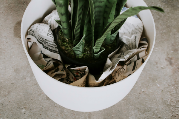Fix Artificial Plants in Pots-4