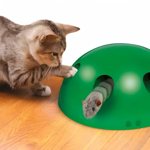 Pet Mouse Toy-4
