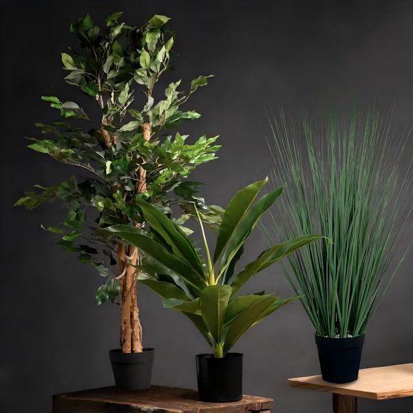 Is It Okay To Put Fake Plants in The House?