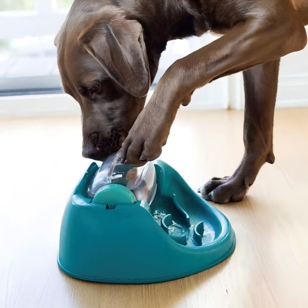 Wash Pet Toys-1