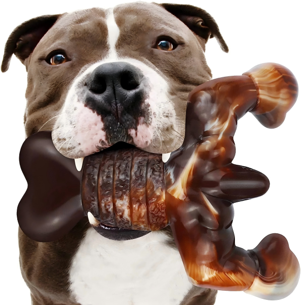 chew pet toy-3