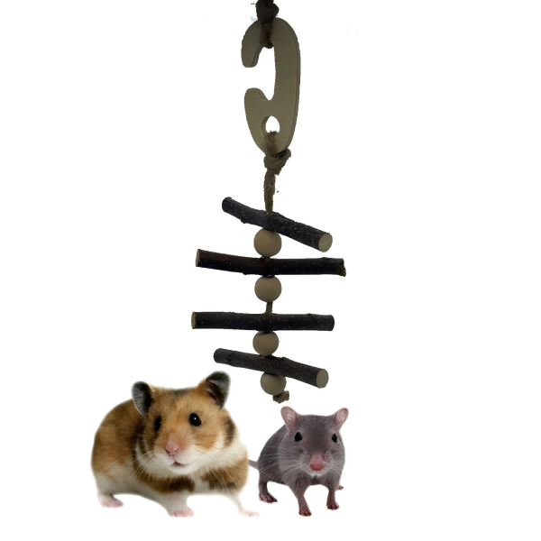 Pet Rats Chew Toys-4
