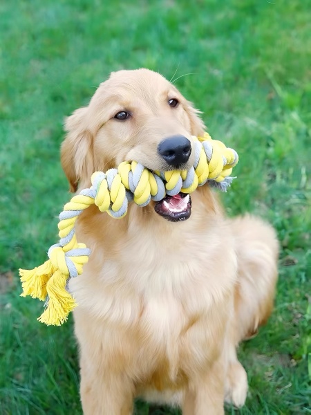 chew toys-3