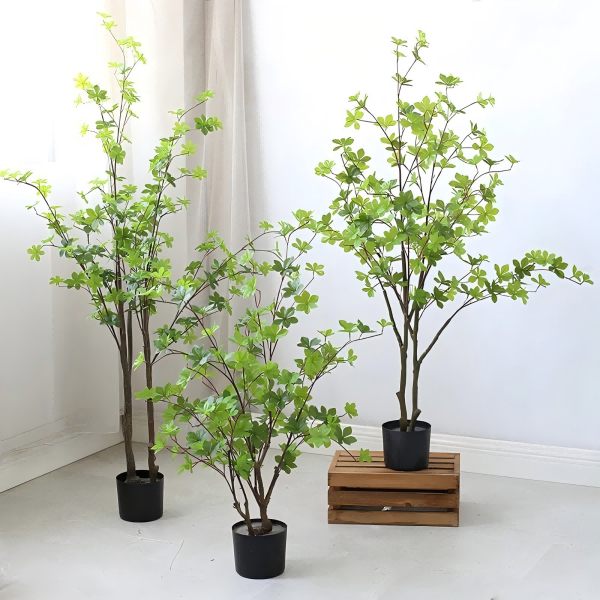 Best for Plants-1