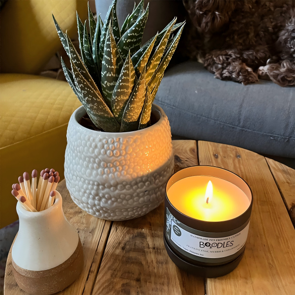 Candles for Dogs-4