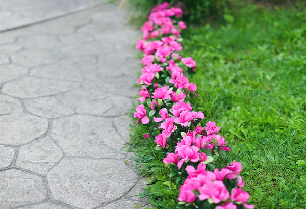 artificial plants outdoors-3