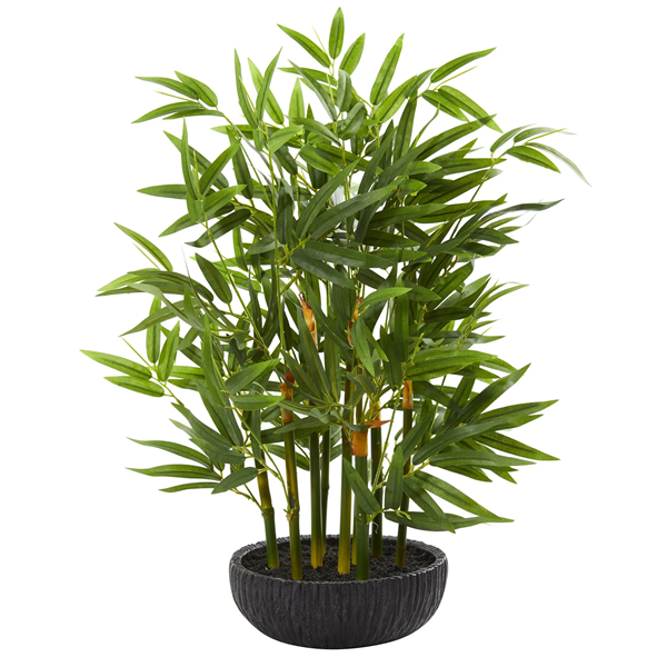 What Is Artificial Versus Real Plants?