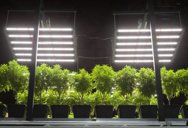 artificial lighting-2