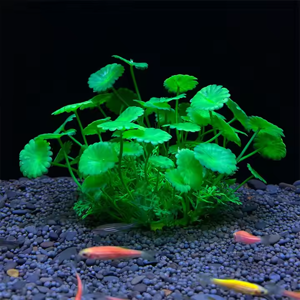 Artificial plants in wate-2