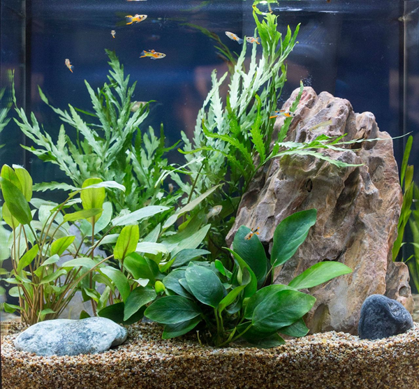 Artificial Fish Tank Plants-4
