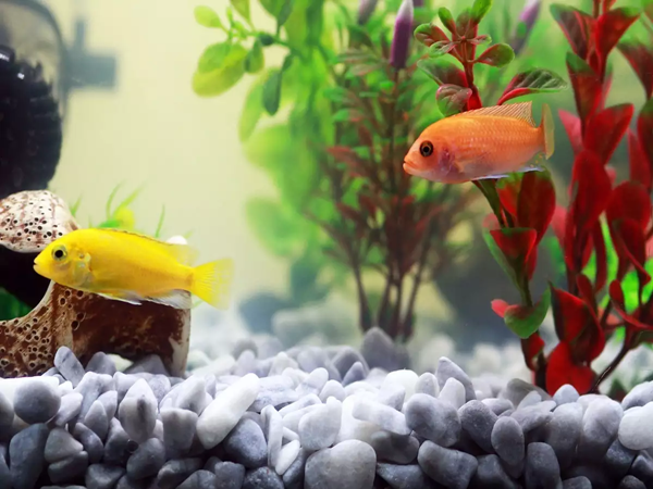 Artificial Fish Tank Plants-3