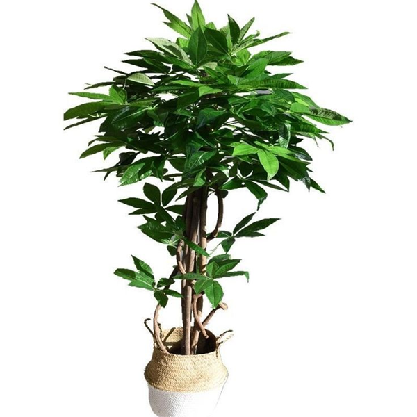 artificial plants for outdoor-3