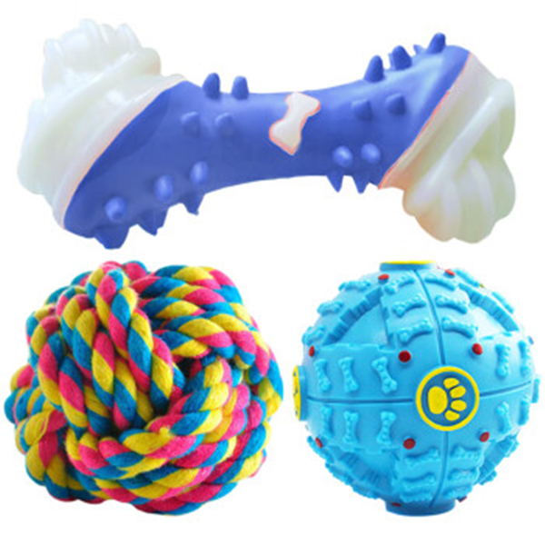 dog toy-2