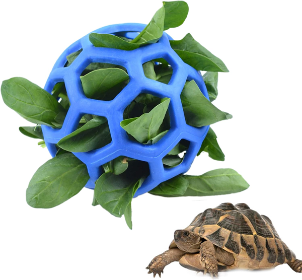 Do Pet Turtles Play with Toys