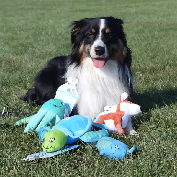pet toys-4