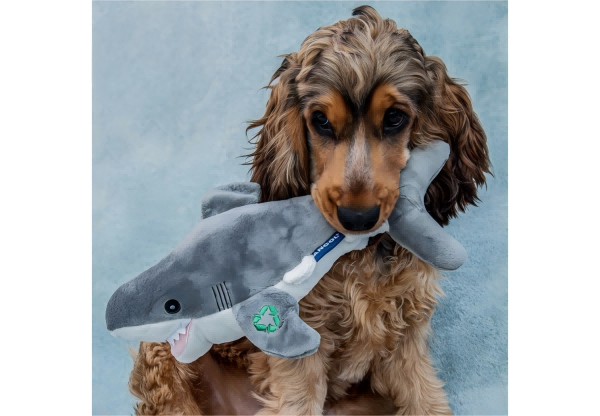 pet toys-2
