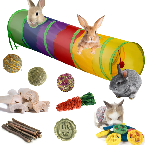 Pet rabbit toys-2