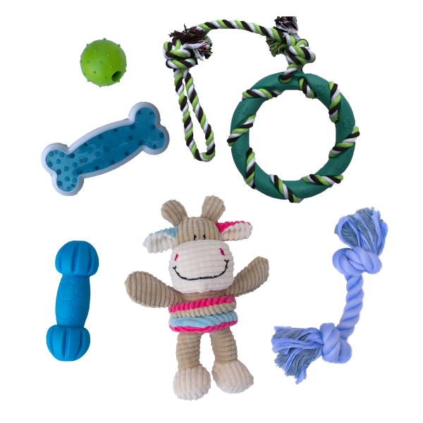 chew pet toy-2