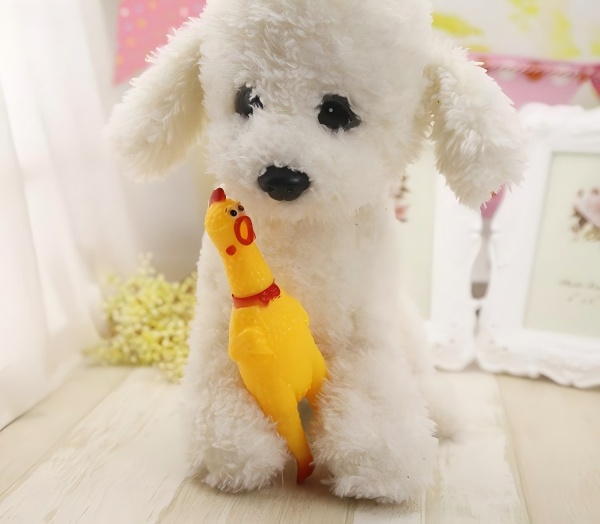 chew toys-1