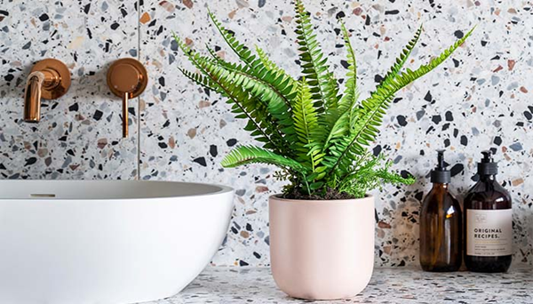 Is It Bad To Have Fake Plants in Your House?